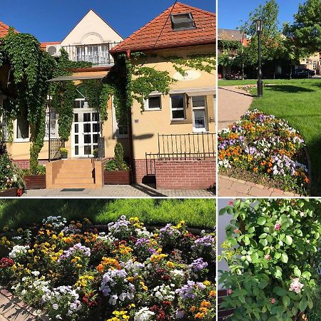 Tulipan Villa Panzio Szolnok Exteriör bild