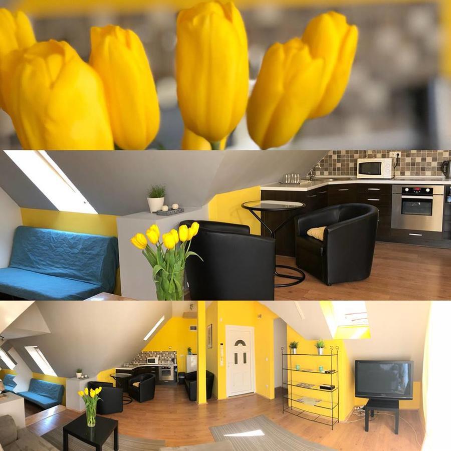 Tulipan Villa Panzio Szolnok Exteriör bild