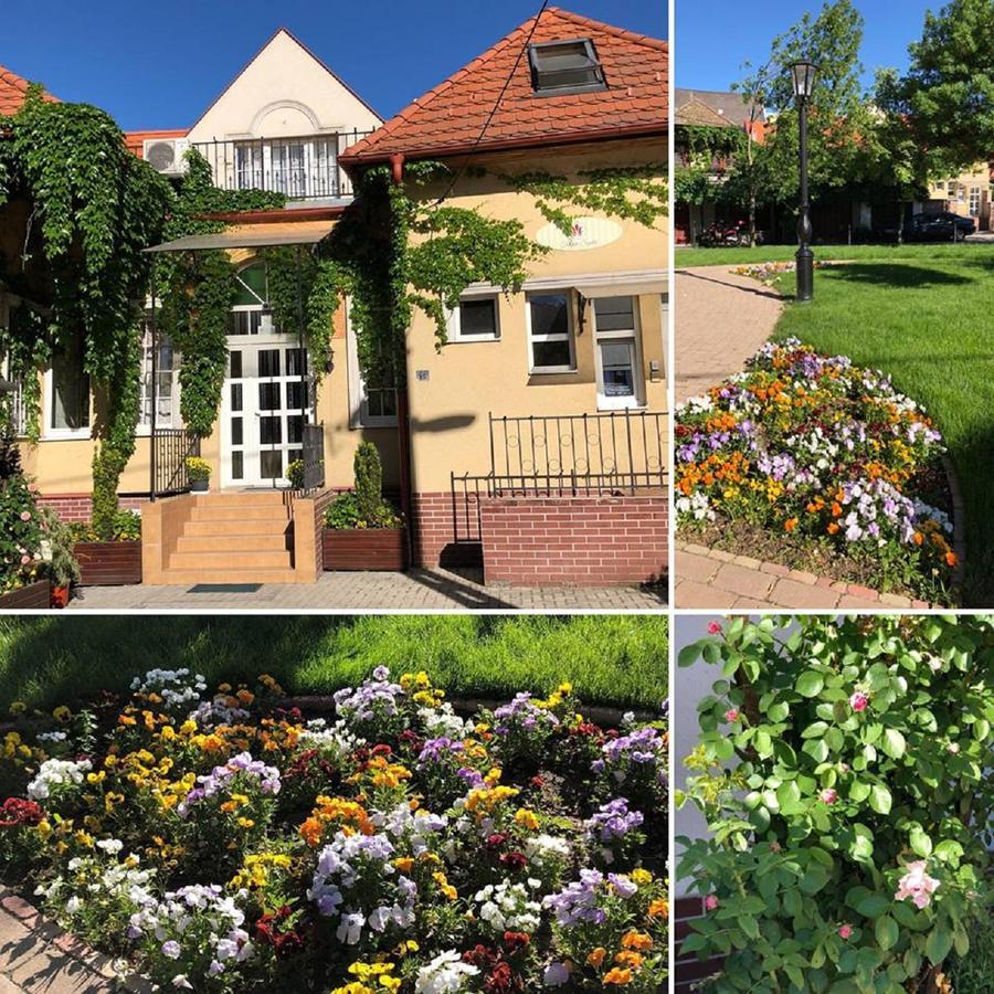 Tulipan Villa Panzio Szolnok Exteriör bild